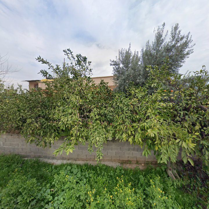 Mersin Salçacı Kenan