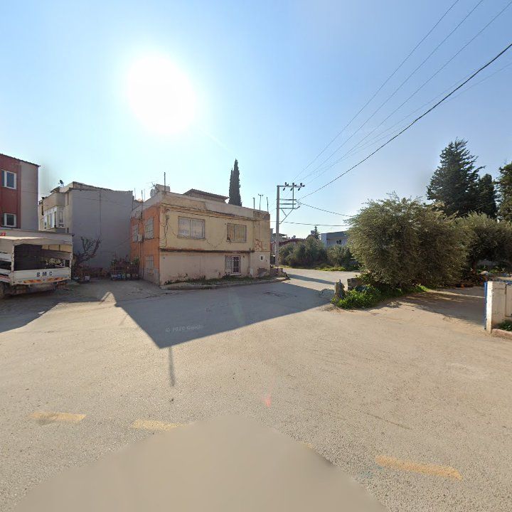 Fotoğraf 3