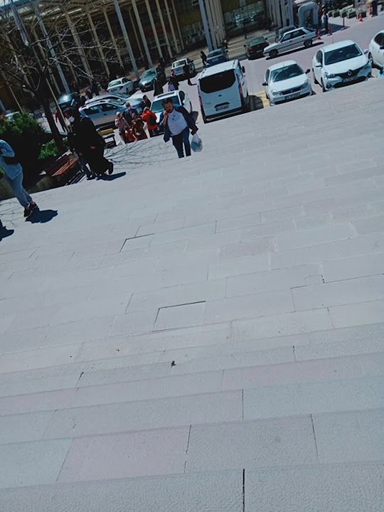 Fotoğraf 29