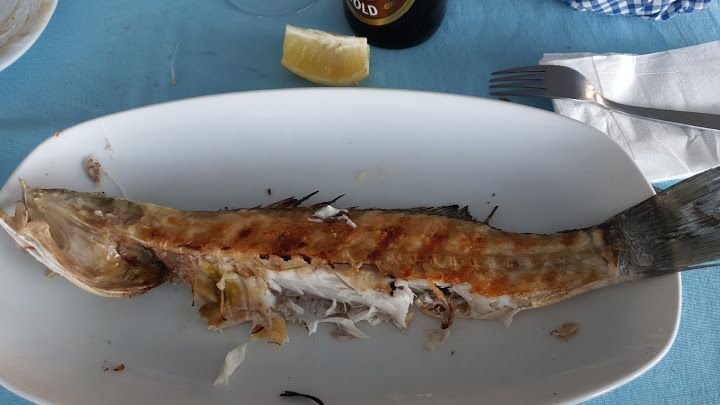 Fotoğraf 29