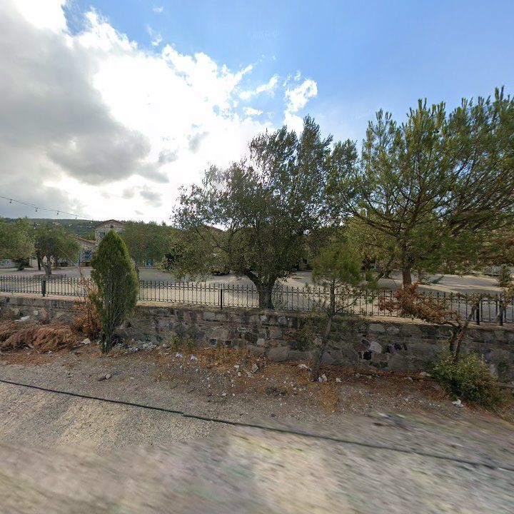 Fotoğraf 7