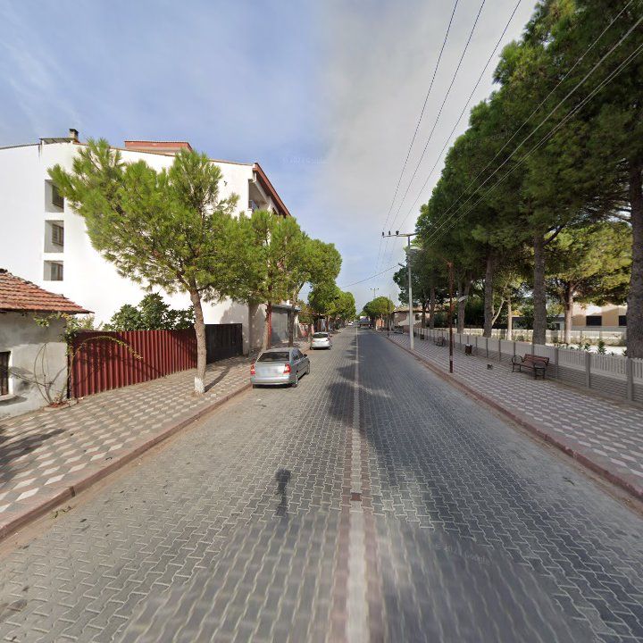 Fotoğraf 10