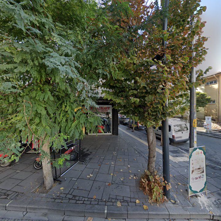 Fotoğraf 9