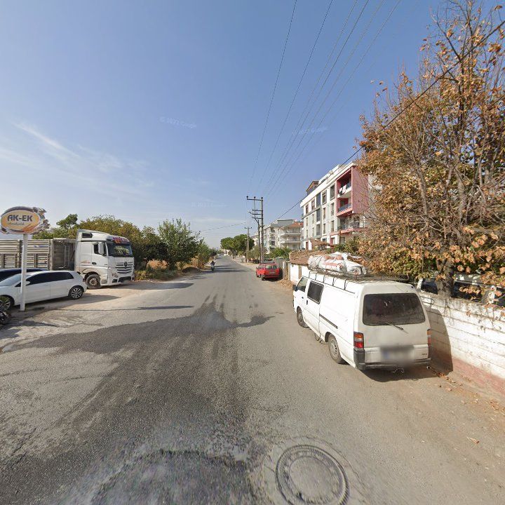 Fotoğraf 3