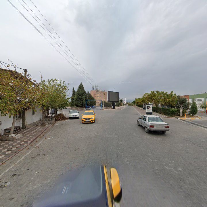Fotoğraf 9