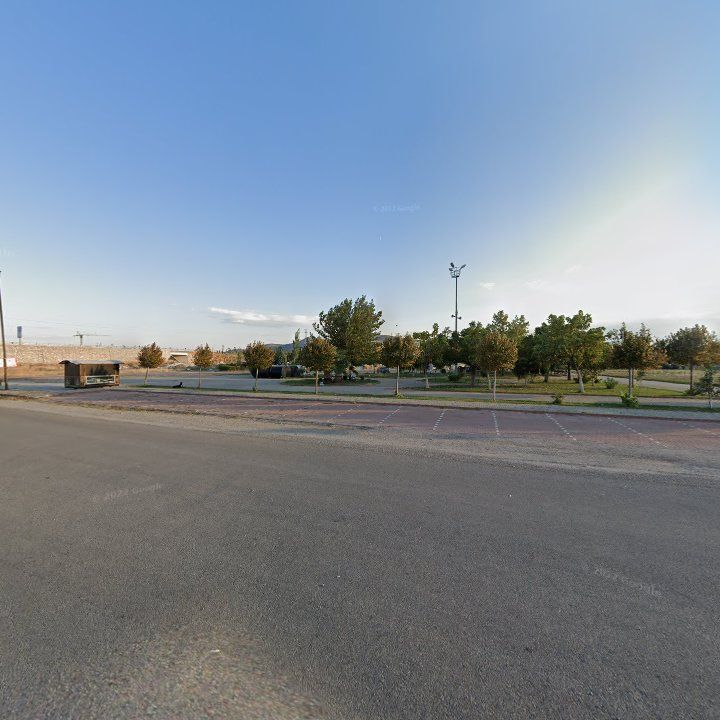 Fotoğraf 8