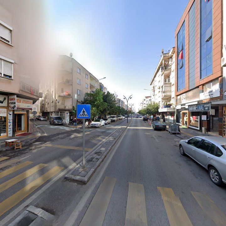 Fotoğraf 11