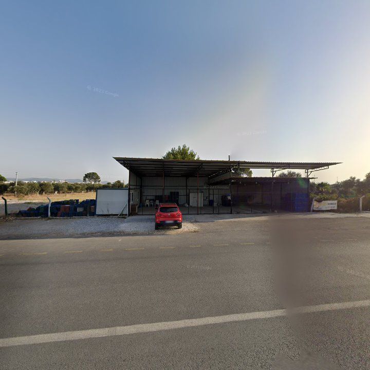 Fotoğraf 11