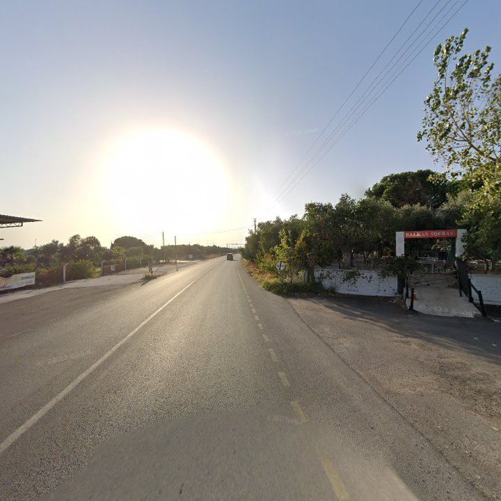 Fotoğraf 12
