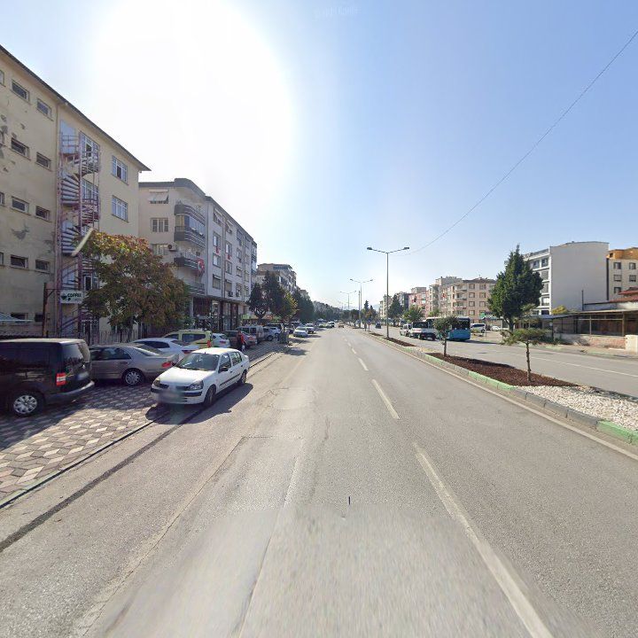 Fotoğraf 6
