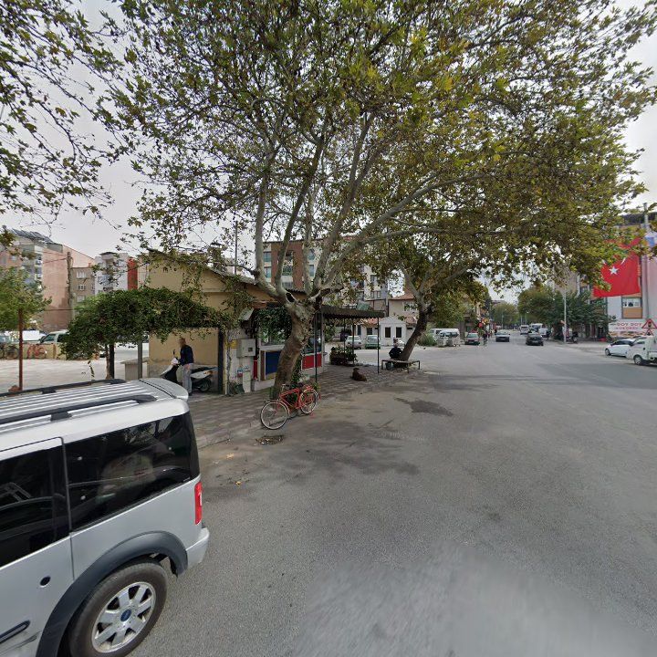 Fotoğraf 7
