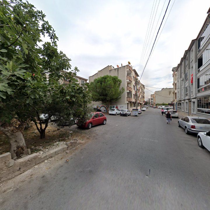 Fotoğraf 6