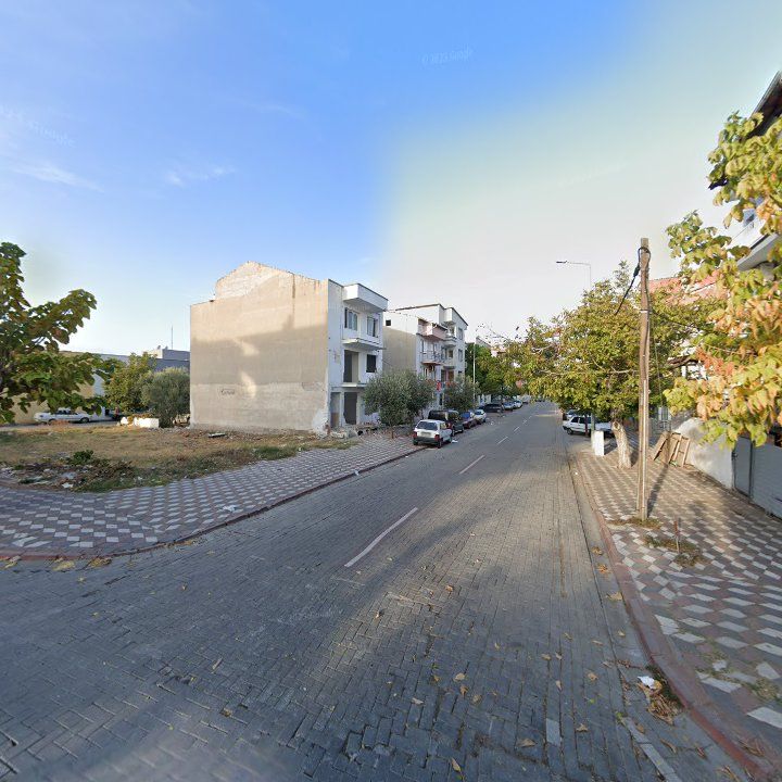 Fotoğraf 8