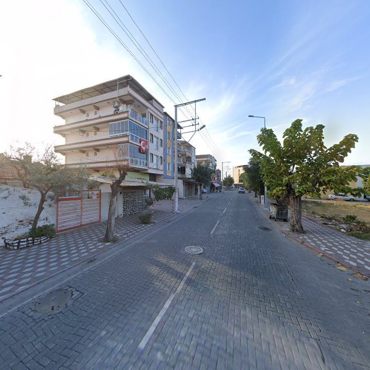 Fotoğraf 7