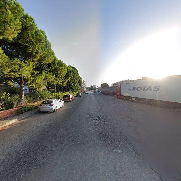 Fotoğraf 7