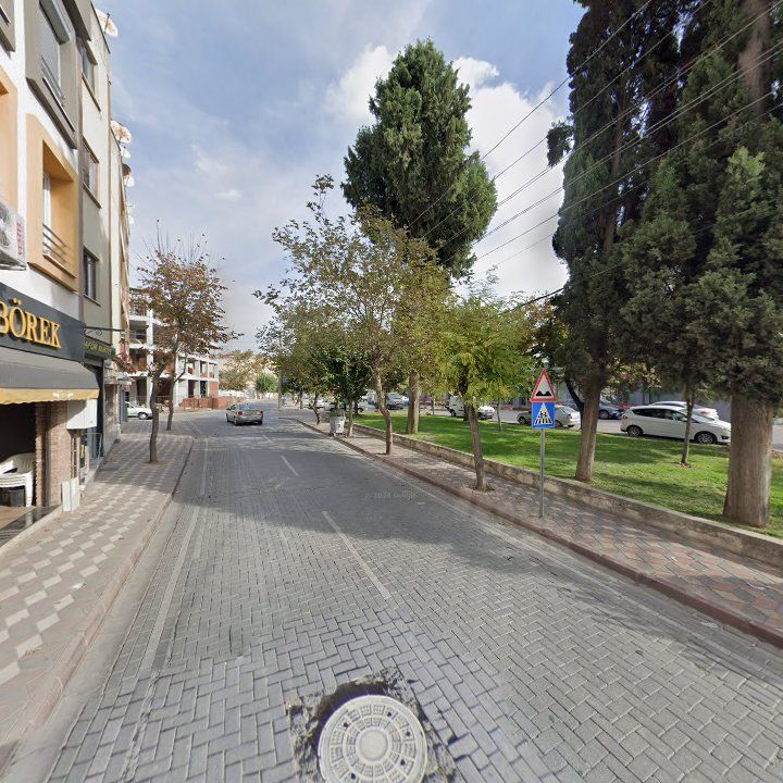 Fotoğraf 9