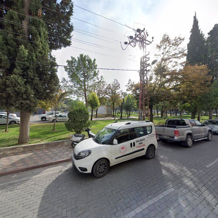 Fotoğraf 10