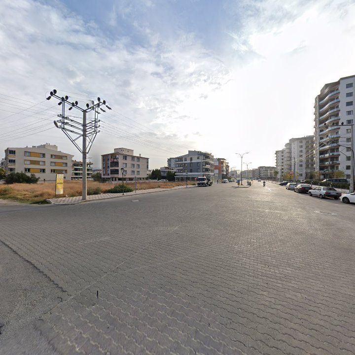 Fotoğraf 9