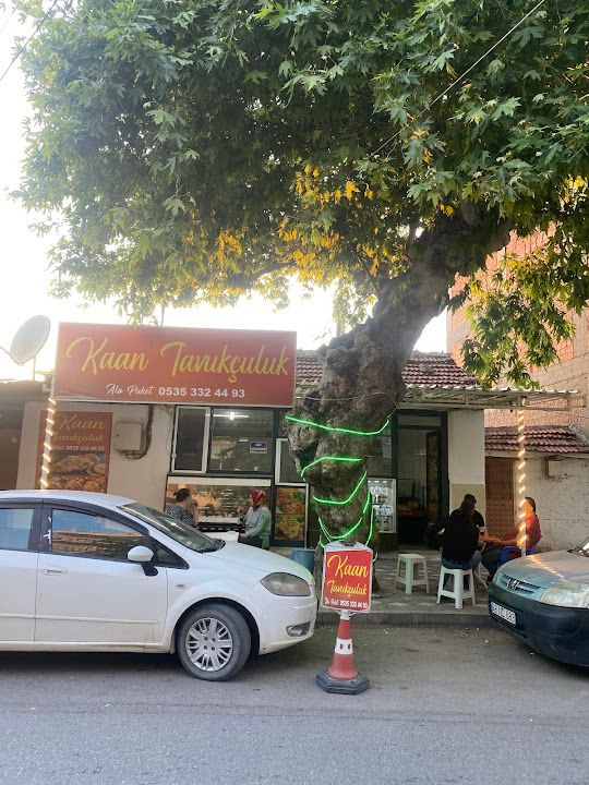 Kaan tavukçuluk