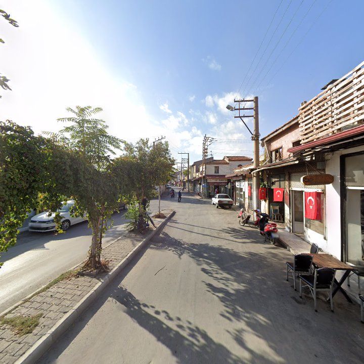 Fotoğraf 10