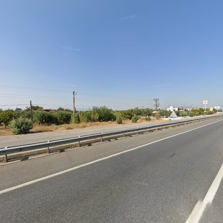 Fotoğraf 19
