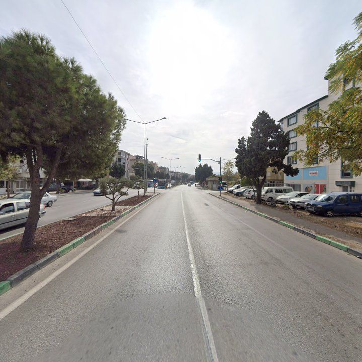 Fotoğraf 3
