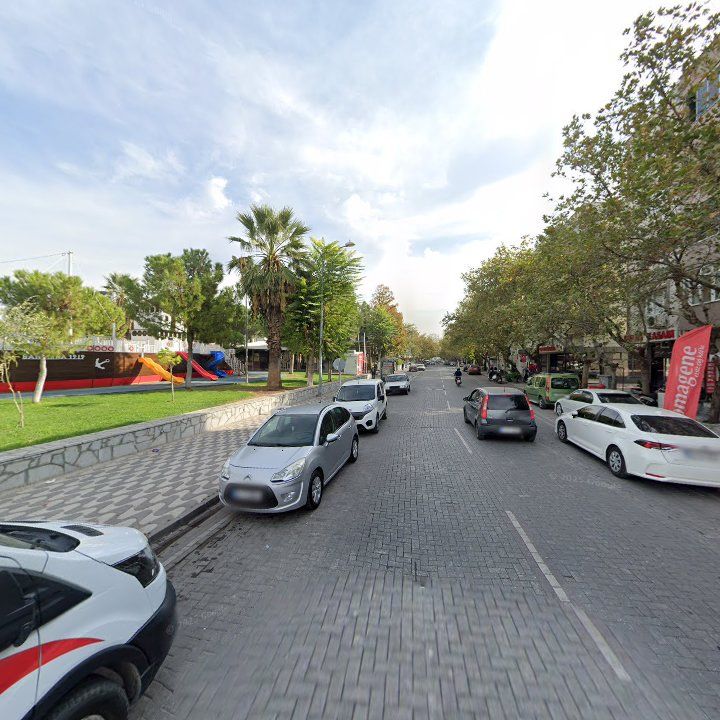 Fotoğraf 8