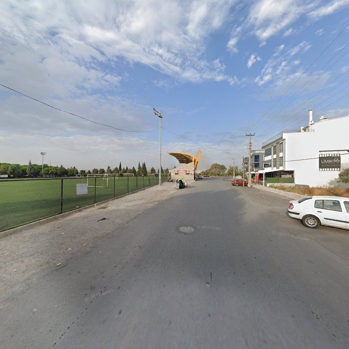 Fotoğraf 11