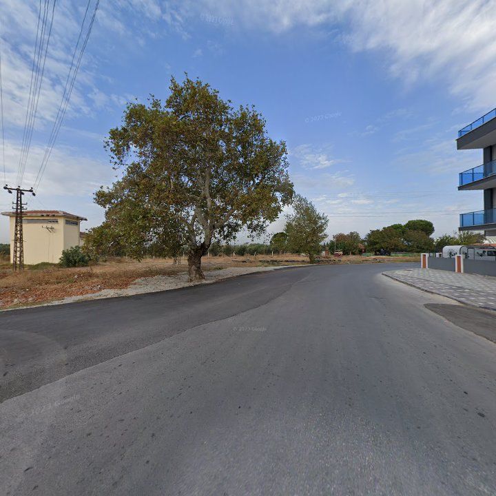 Fotoğraf 9