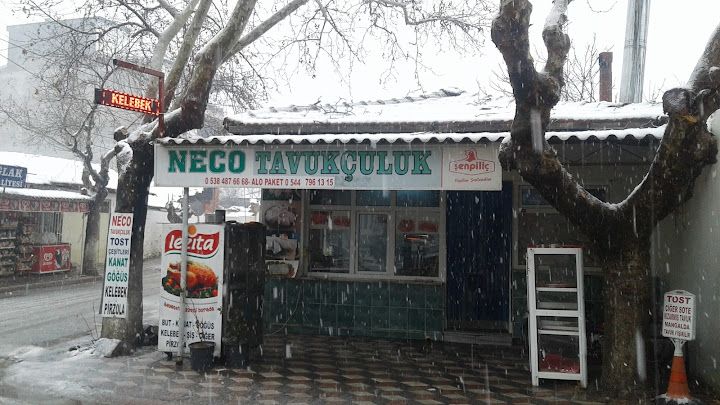 Neco Tavukculuk