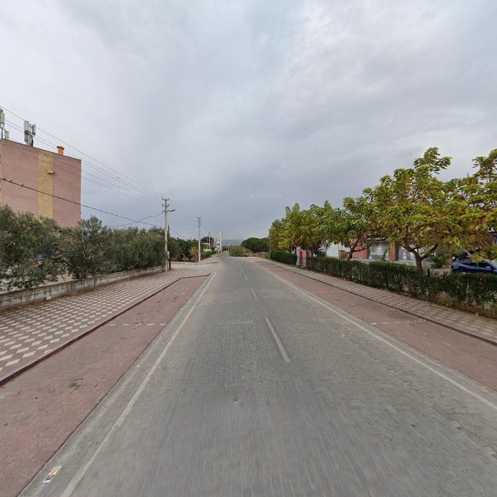Fotoğraf 4