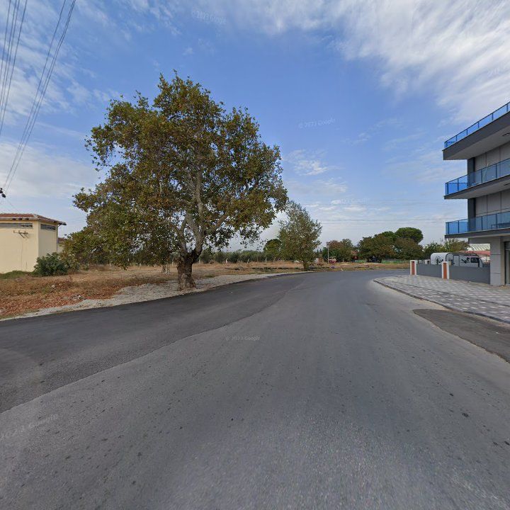 Fotoğraf 11