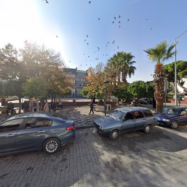 Fotoğraf 7