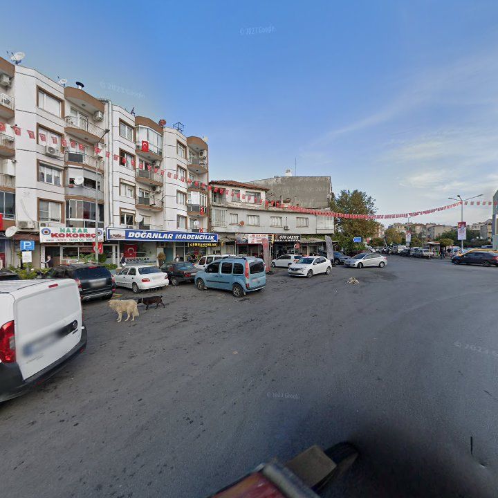 Fotoğraf 7