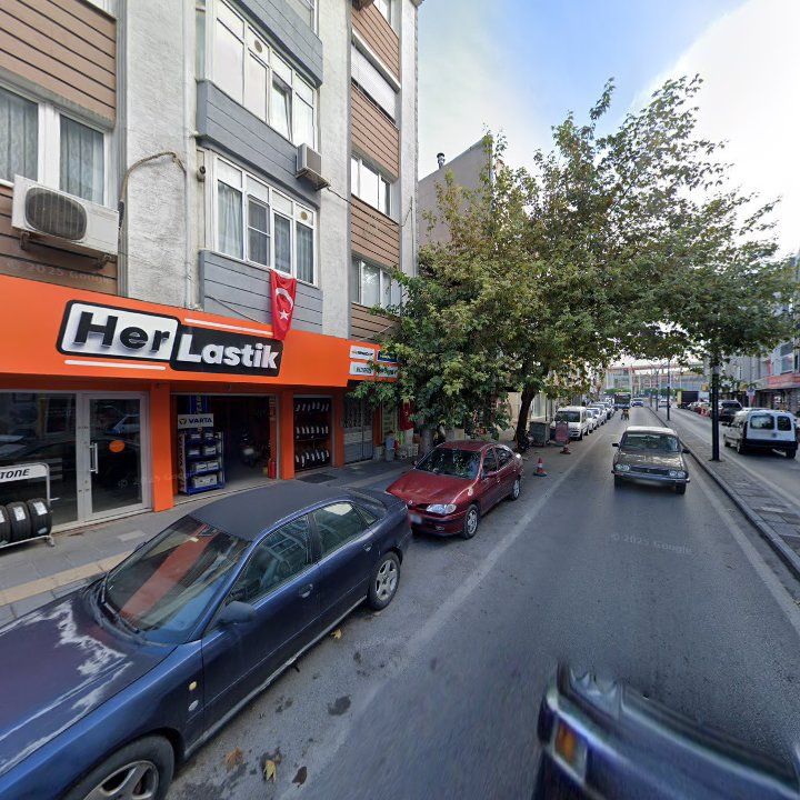 Fotoğraf 10