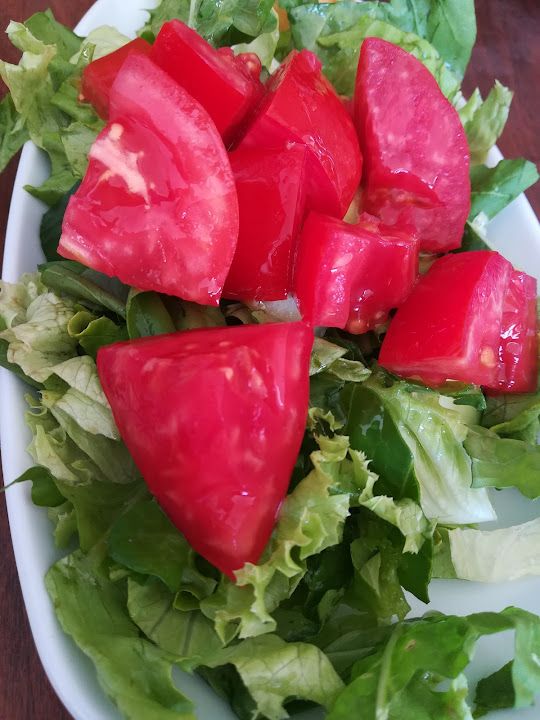Fotoğraf 29