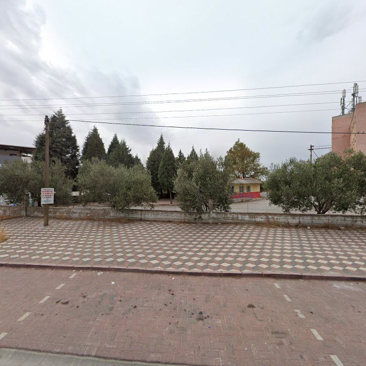 Fotoğraf 6