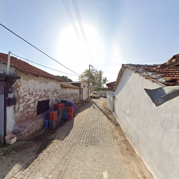 Fotoğraf 7