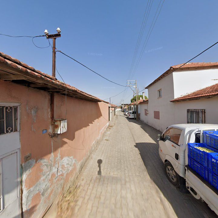 Fotoğraf 9
