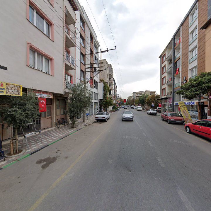Fotoğraf 9