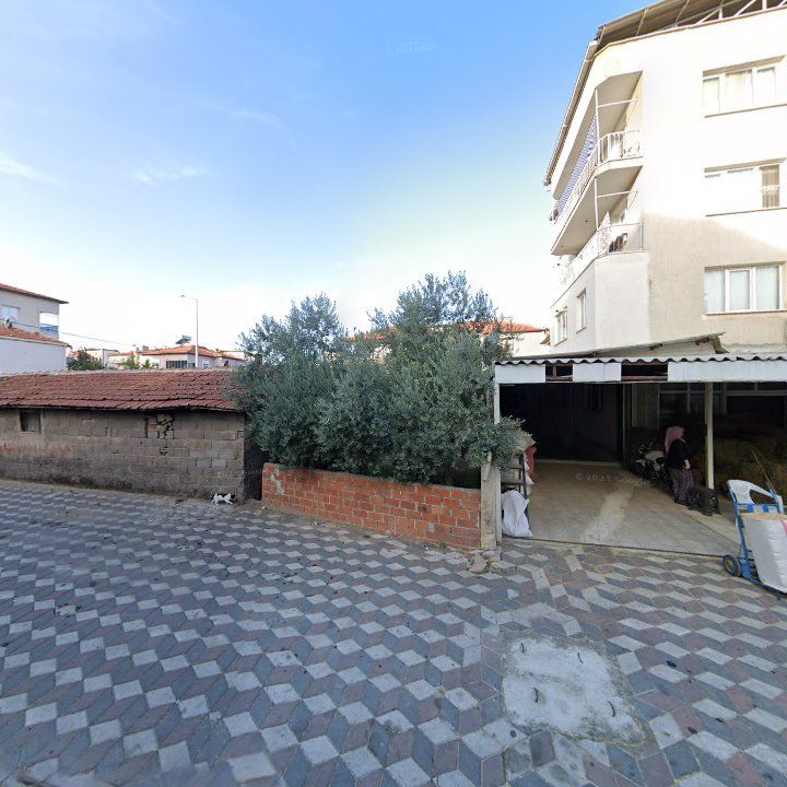 Fotoğraf 3