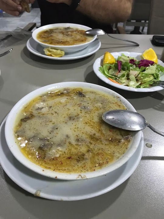 Fotoğraf 16