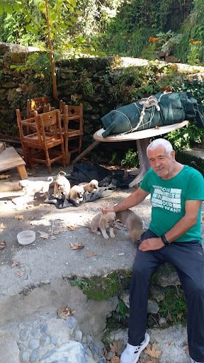 Yorum fotoğrafı 2