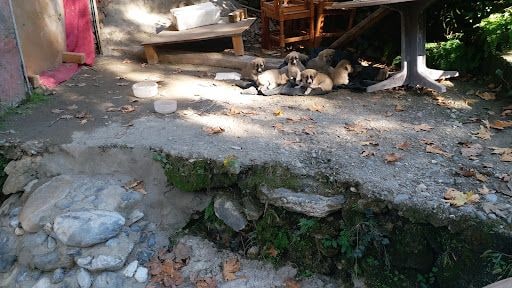 Yorum fotoğrafı 4