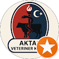 Akin Aktas