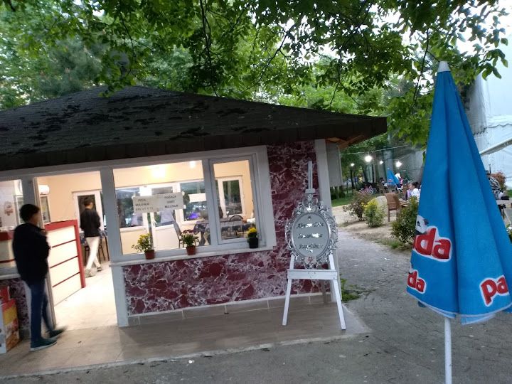 Fotoğraf 12