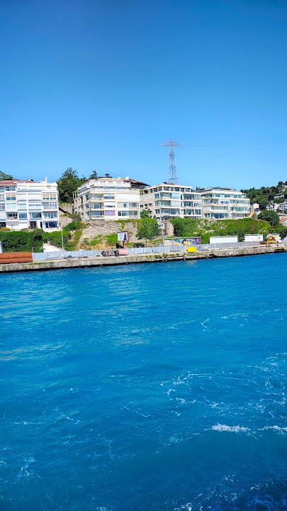 Fotoğraf 31