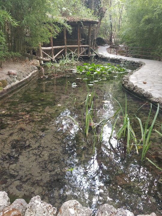 Fotoğraf 61