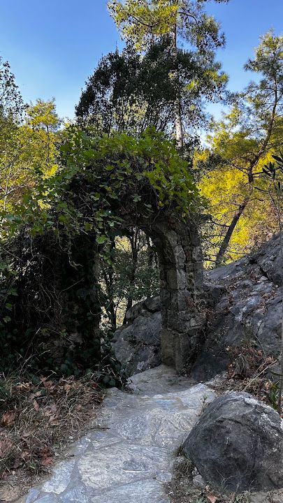 Yorum fotoğrafı 4