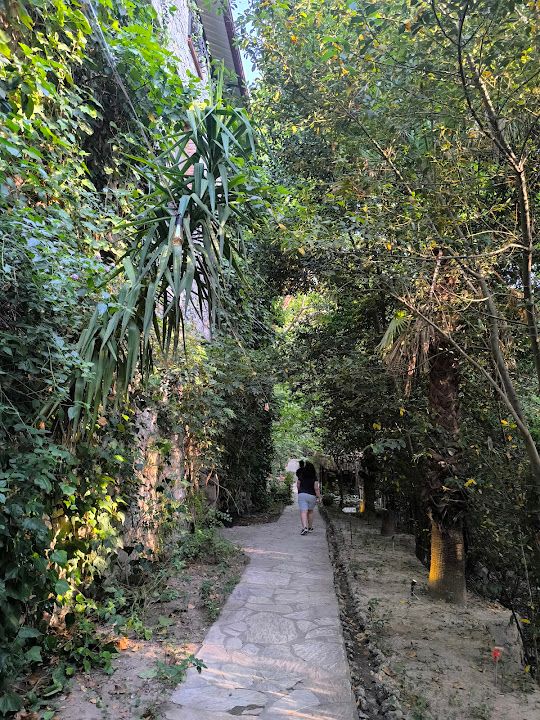 Yorum fotoğrafı 3